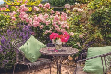 Coming up Roses: Flowers, Fragrance and Flavours