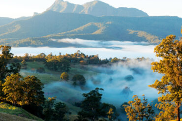 Tweed Valley Tourism