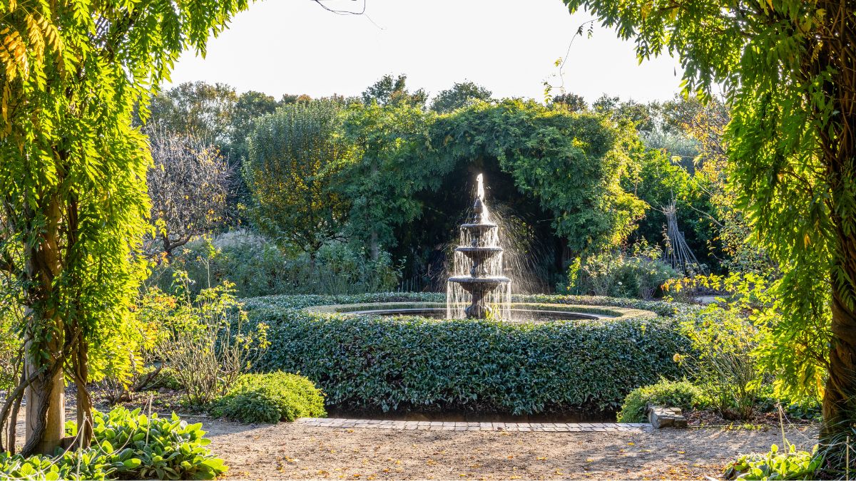 Fountain surrounded by greenery