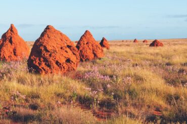 Pilbara Progression: A road-trip along the Pilbara Coast reveals surprises at every turn