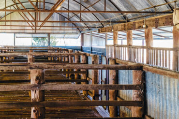 Barcaldine Tours: Dunraven Station