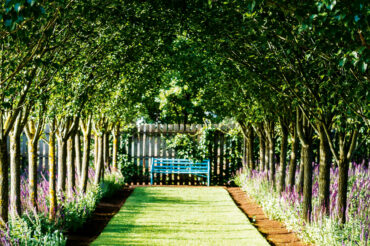 Lambley Gardens and Nursery