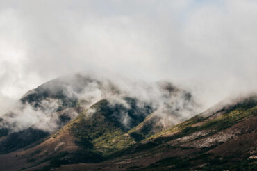 Call of the Wild: Artist Raymond Arnold