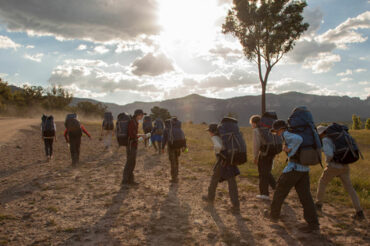 A Bush Classroom: Cranbrook