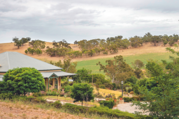 Outdoor bush near house