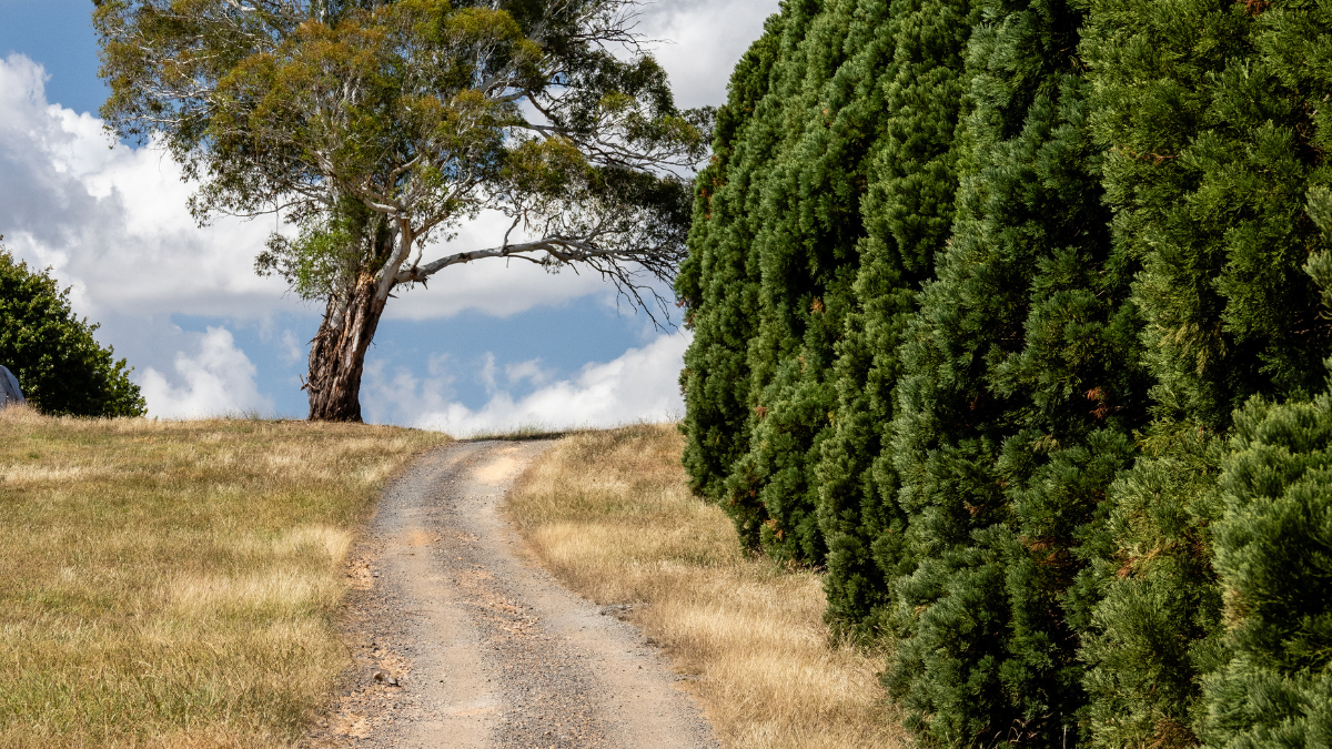 Designed for Success