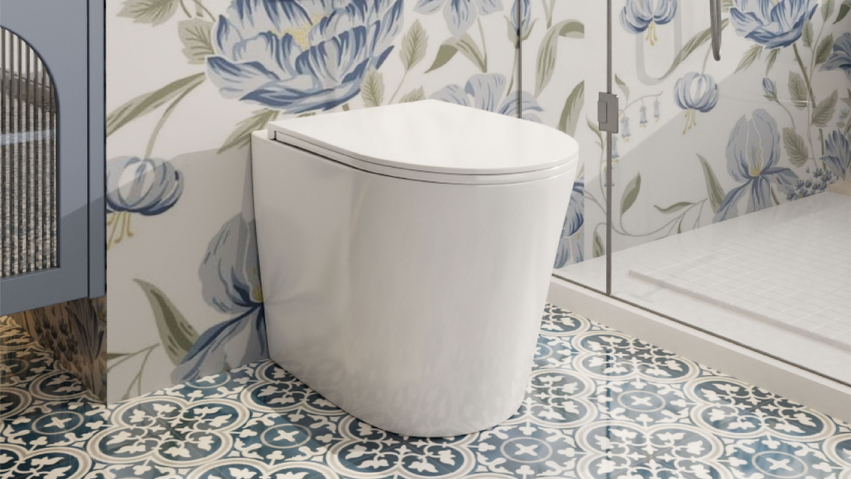 Selecting the Best Toilet for Your Renovation Project: Functionality Meets Design