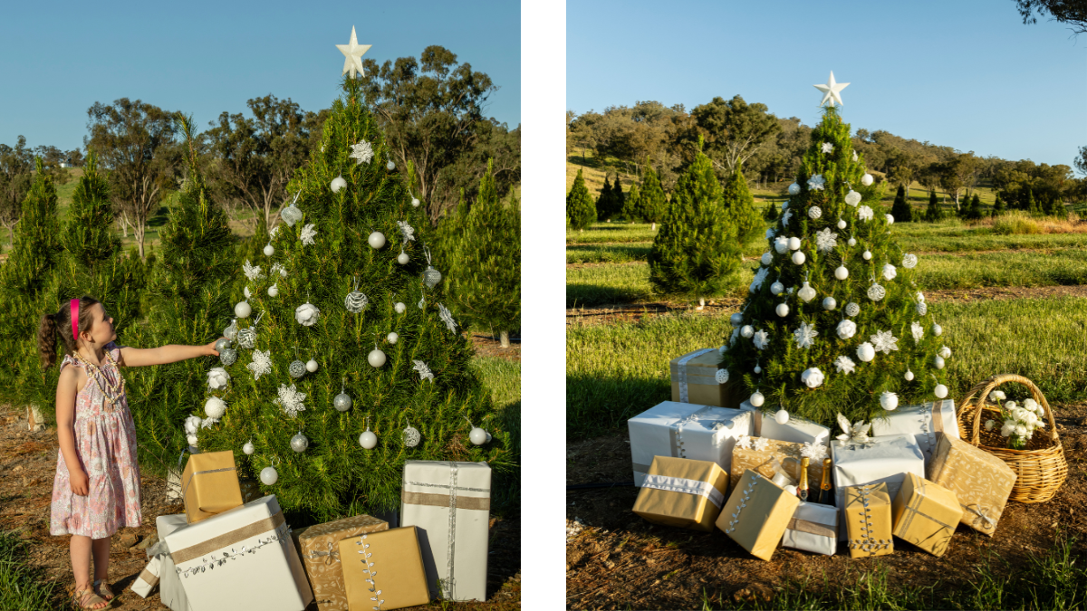 Christmas tree and presents under the tree