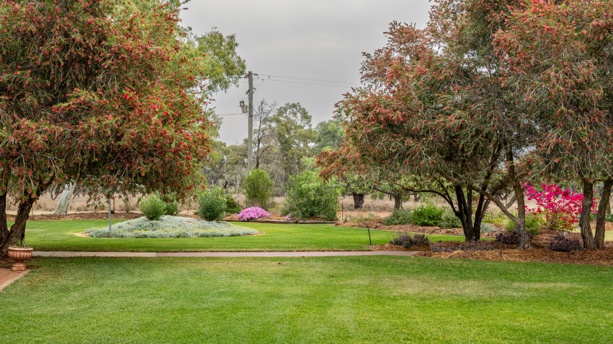 Nature lawn with trees and flowers