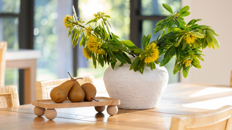 Summer plants in pot on table