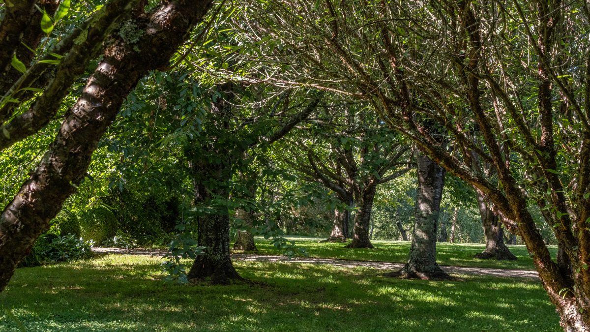 Broughton hall bounty: a garden creation
