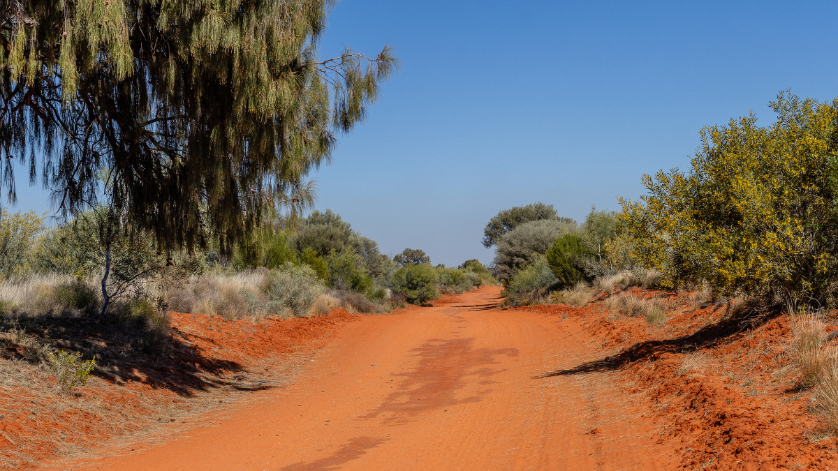Dirt road in the outback