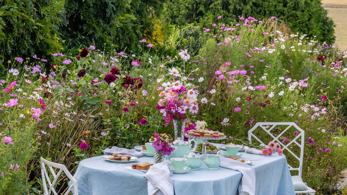 Designed for Success