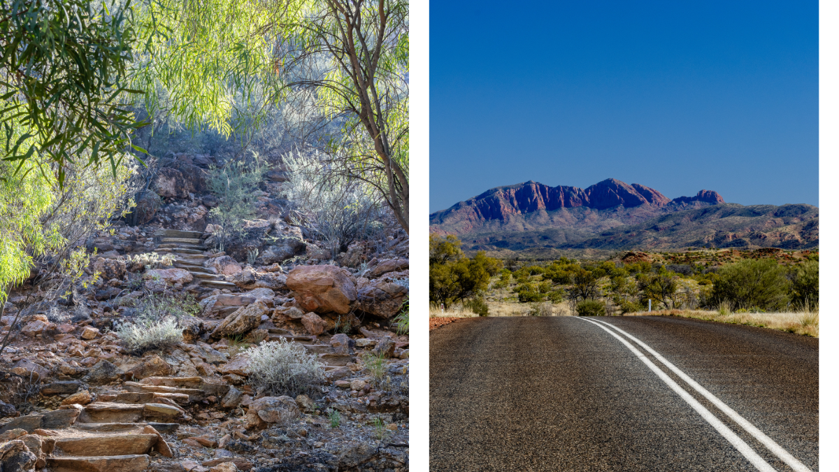 Walkway and road in the outback